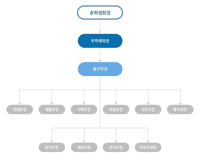총학생회장, 부학생회장, 총무부장, 전례부장, 생활부장, 기획부장, 학술부장, 의무부장, 통학생장, 음악부장, 체육부장, 관리부장, 학부학생장 조직도